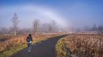 Nebel-Regenbogen :-O