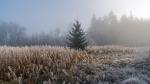 Nebel in der Rhön