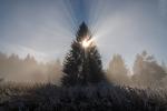 Nebel in der Rhön