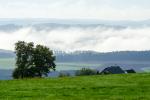 Nebelstimmung in der Eifel (Ahrtal)