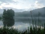 Nebel über der Zschopau