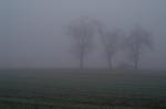 Im Nebel