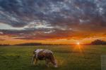 Sonnenuntergang im Spreewald