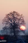 Sonnenuntergang Elbe