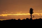 Sonnenaufgang Mara Serena