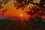 Sonnenaufgang im Krüger NP