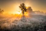 Frostiger Sonnenaufgang retuschiert