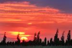 Blutmond im Westen