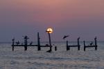 Holbox Mexico