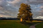 Wegkreuz im Abendlicht