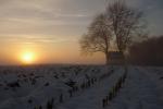 Abendstimmung in der Eifel (2)