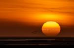 Baie de Somme