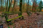 "Bankenkrise" im Hadamarer Wald