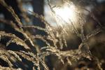 Herbst im Wald