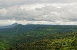 Regenwald Mauritius