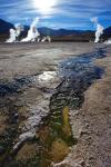 Geysirbecken El Tatio 1