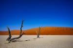 Dead Vlei