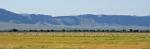 Namib-Naukluft-Gebirge