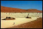 Dead Vlei I