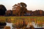 Abendstimmung im Freien