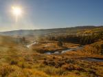 Shoshone Forrest