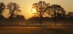 Sonnenaufgang mit Bodennebel