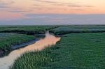 Wiesenlandschaft bei Westerhever