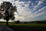 Baum und Himmel