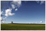 Himmel und Baum