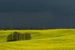 Vor dem Gewitter