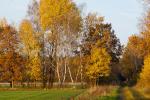 herbstliches Schauerfeld