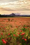 mohn+skyline