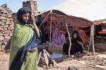 Beduinenfrauen in Mauretanien 1