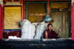 Tashilunpo Monk