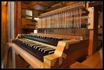 Wiedereinbau Orgel Gersfeld 10
