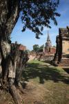 Wat Mahathat, Ayutthaya -IV-