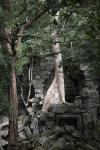 Beng Mealea -V-