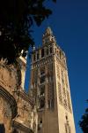 Sevilla - Kathedrale  - Giralda