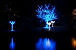 Blaue Nacht Nürnberg Insel der blauen Bäume