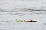 Hochwasser Passau 6