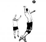 Volleyball