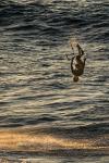 Kitesurfing in Fuerteventura (4)