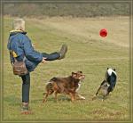 Frauchen mit Mikee, Ayhoka und Ball