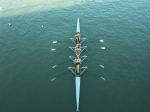 Ruder Regatta in  Heidelberg