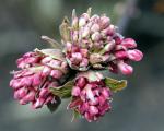 Der Frühling kommt 2015