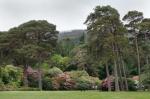 Muckross House 2