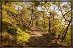 Pfälzer Wald Herbst