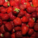 erdbeeren