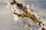 Winterbild_1