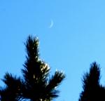 Mond und Venus am Tag (2)